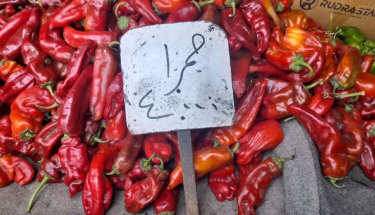 IMG_20250813_133311_110