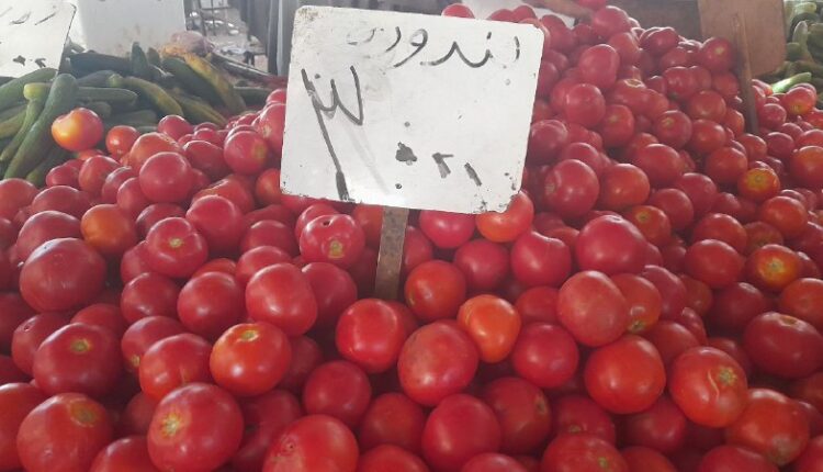 IMG_20250813_133311_247