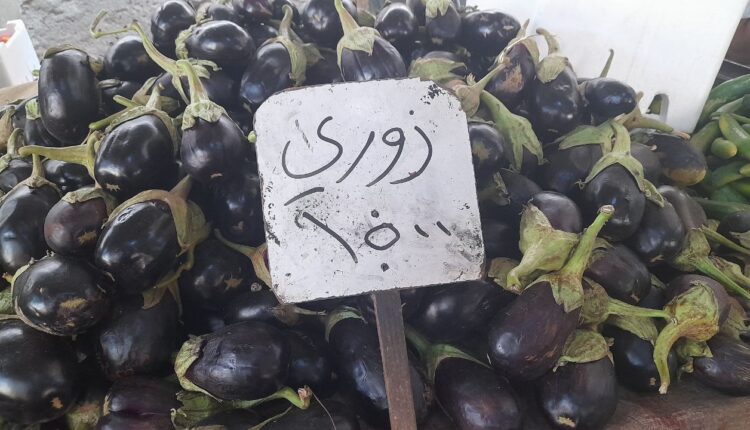 IMG_20250813_133311_905