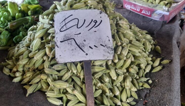 IMG_20250813_133311_966