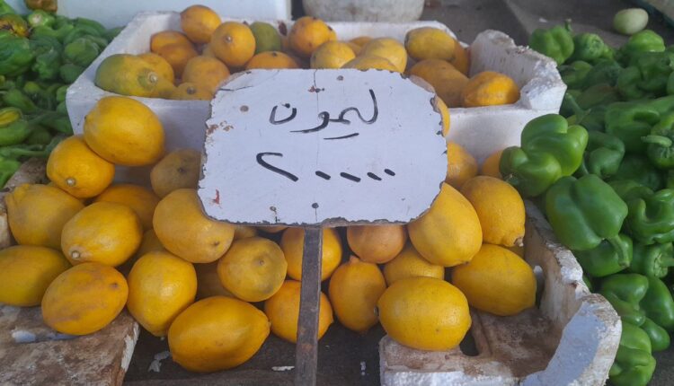 IMG_20250819_152924_040