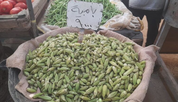 IMG_20250819_152924_057