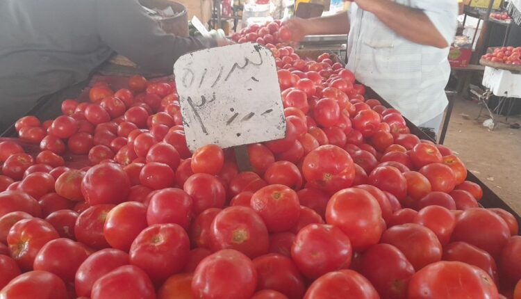 IMG_20250819_152924_302