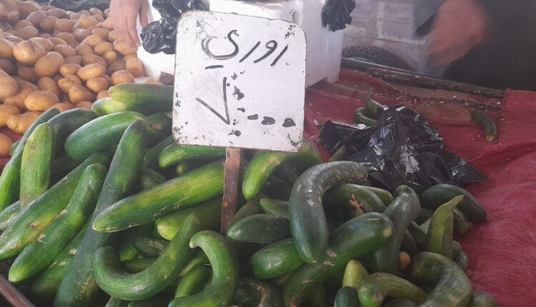 IMG_20250819_152924_699