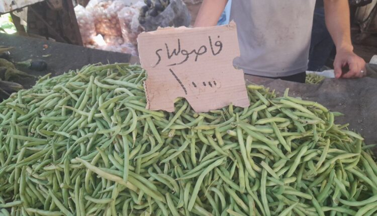 IMG_20250819_152924_863