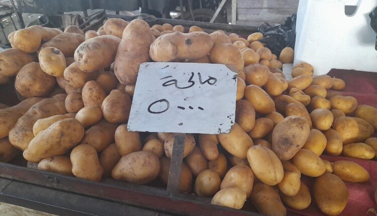 IMG_20250819_152924_980