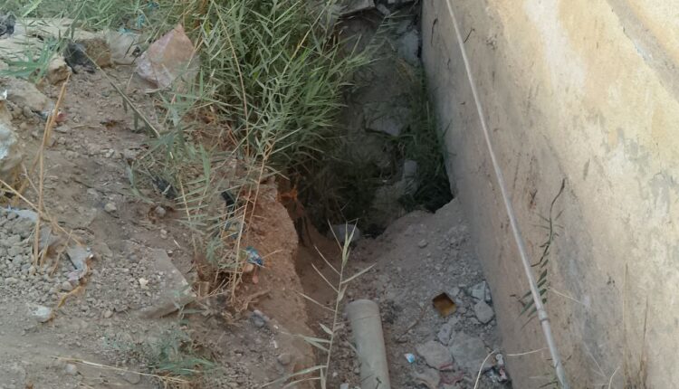 IMG_20251023_112632_357