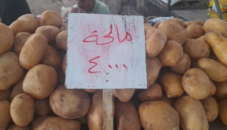 IMG_20251029_144305_687