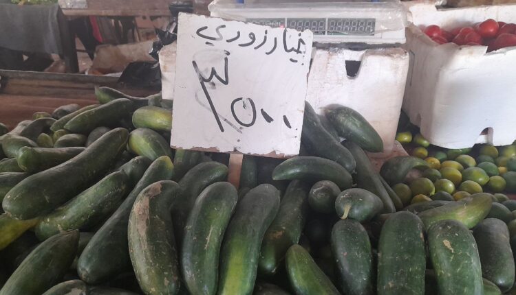 IMG_20251029_144305_692