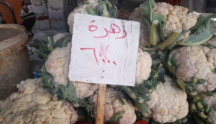 IMG_20251029_144305_694