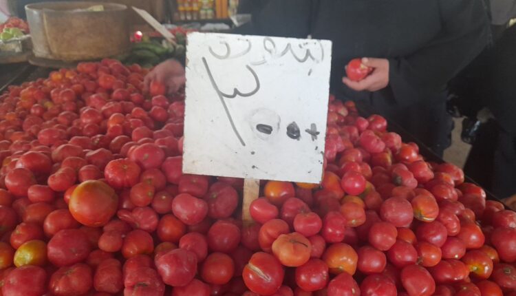 IMG_20251029_144305_987