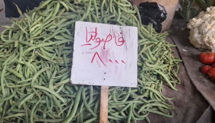 IMG_20251029_144306_083