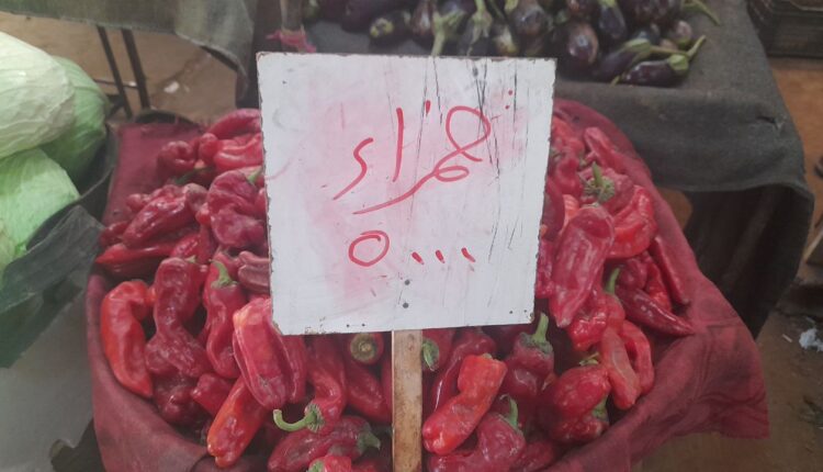 IMG_20251029_144306_306