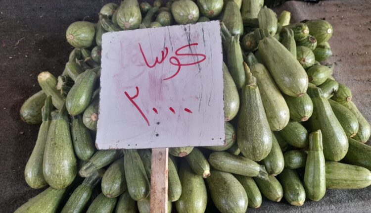 IMG_20251029_144306_462