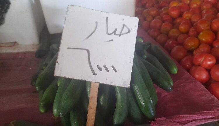 IMG_20251113_094806_355