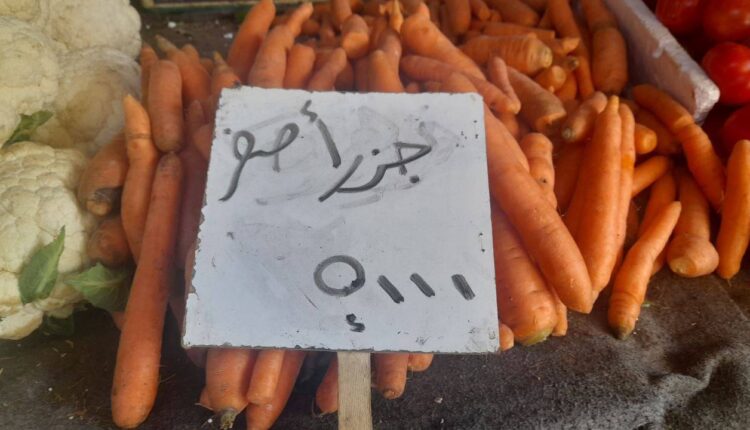 IMG_20251113_094806_666