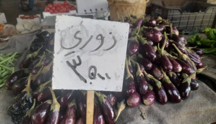 IMG_20251113_094806_686