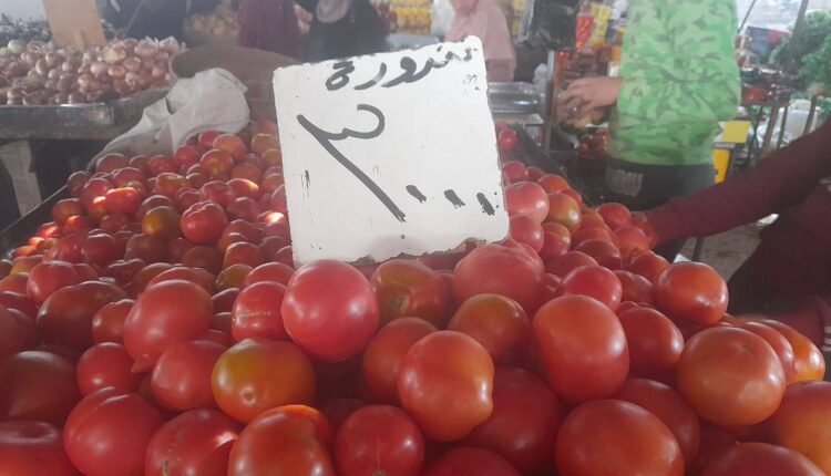 IMG_20251113_094806_971