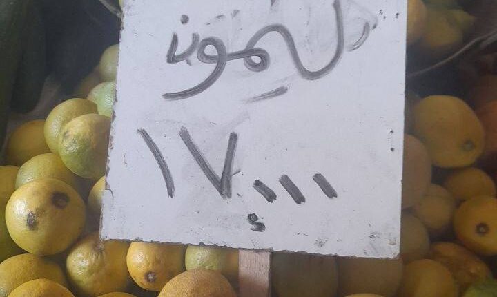 IMG_20251113_094807_019