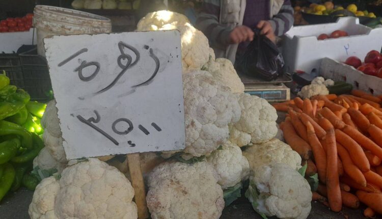 IMG_20251113_095549_805