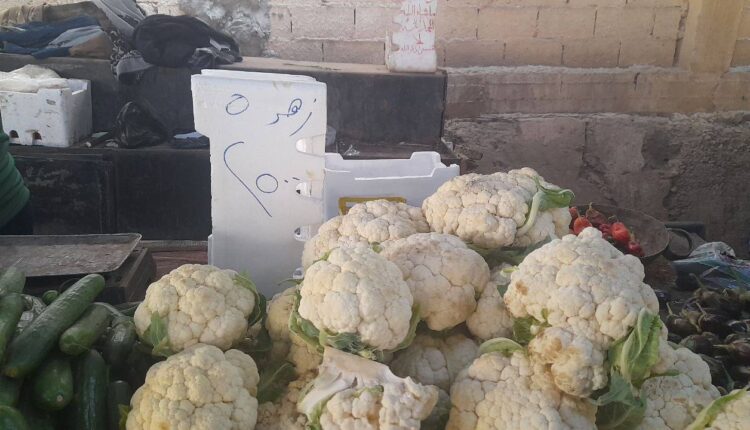 IMG_20251129_133841_661