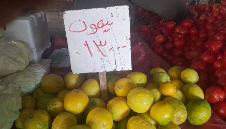 IMG_20251129_133841_862