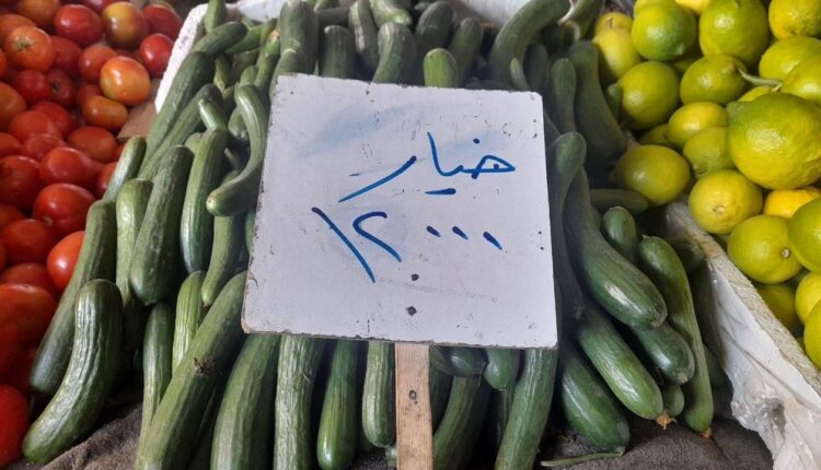 IMG_20251129_133841_932