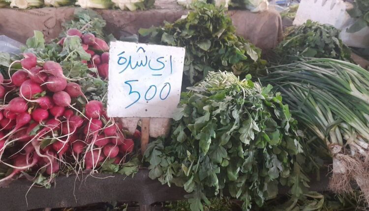 IMG_20251129_133842_117