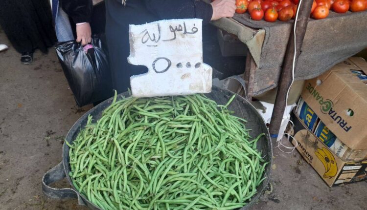 IMG_20251129_133842_154