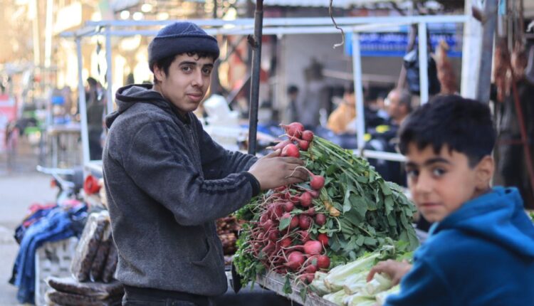 IMG_20260224_140237_963