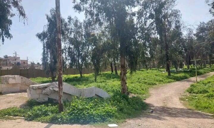 IMG_20260416_104311_380