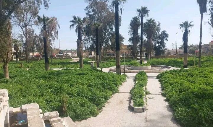 IMG_20260416_104311_412