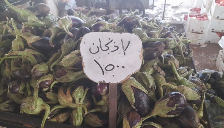 IMG_20250715_122557_379