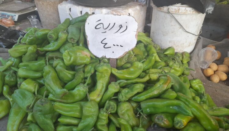 IMG_20250715_122557_548