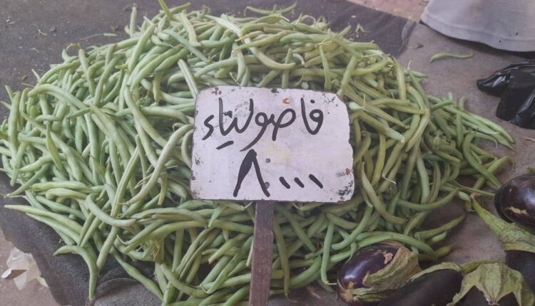 IMG_20250728_160247_003