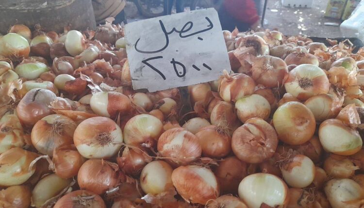 IMG_20250728_160247_138