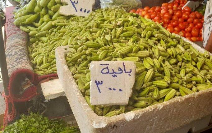 IMG_20250728_160247_468