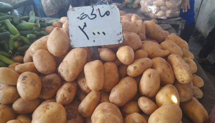 IMG_20250728_160247_538