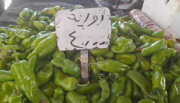 IMG_20250728_160247_686