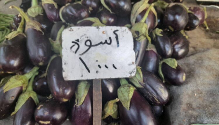 IMG_20250728_160247_709