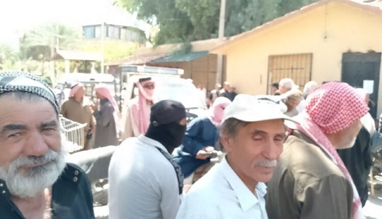 IMG_20250807_140347_889