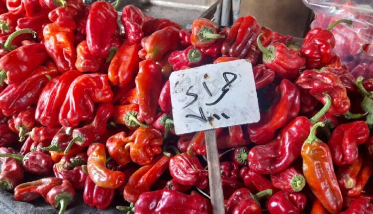 IMG_20250917_104733_978