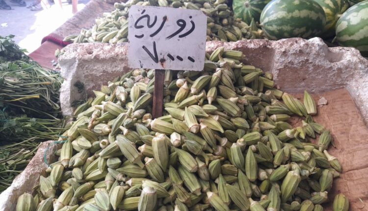 IMG_20250917_104742_766