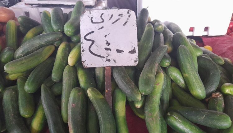 IMG_20250917_104822_323