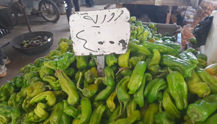 IMG_20250917_104822_358