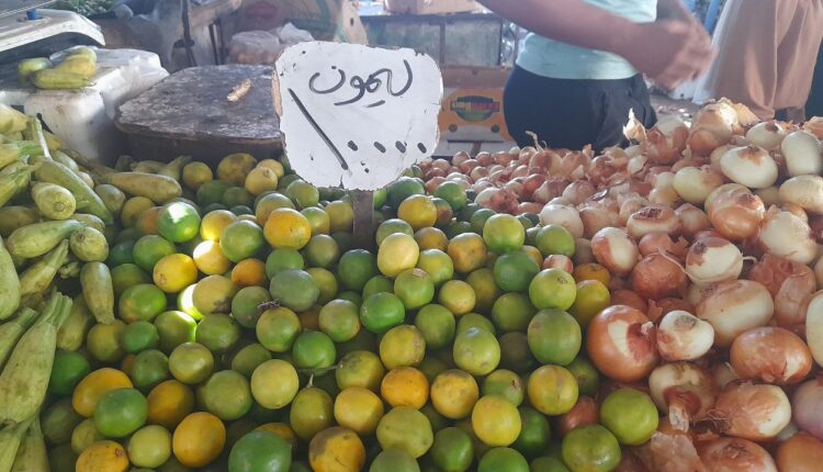 IMG_20250917_104822_371