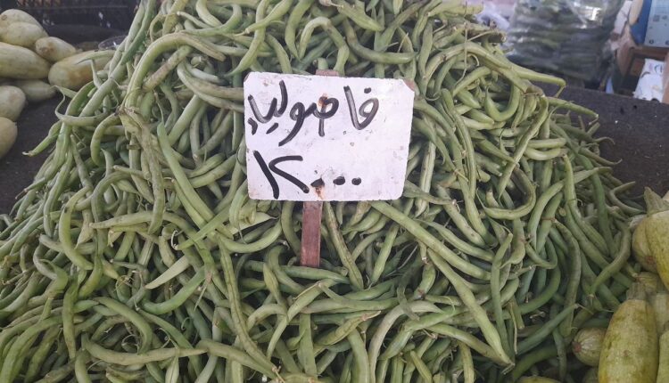 IMG_20250917_104822_556