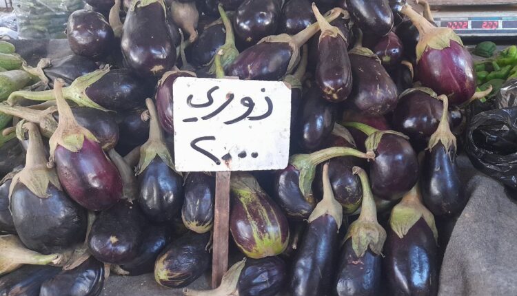 IMG_20250917_104822_664