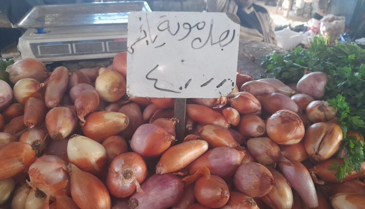 IMG_20250924_112546_134