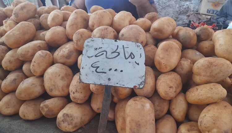 IMG_20250924_112546_137